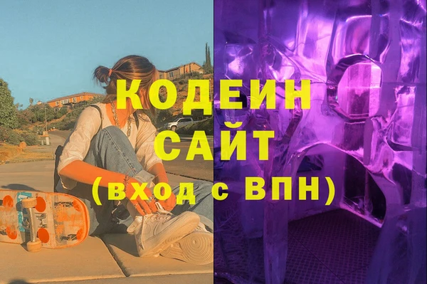индика Балахна